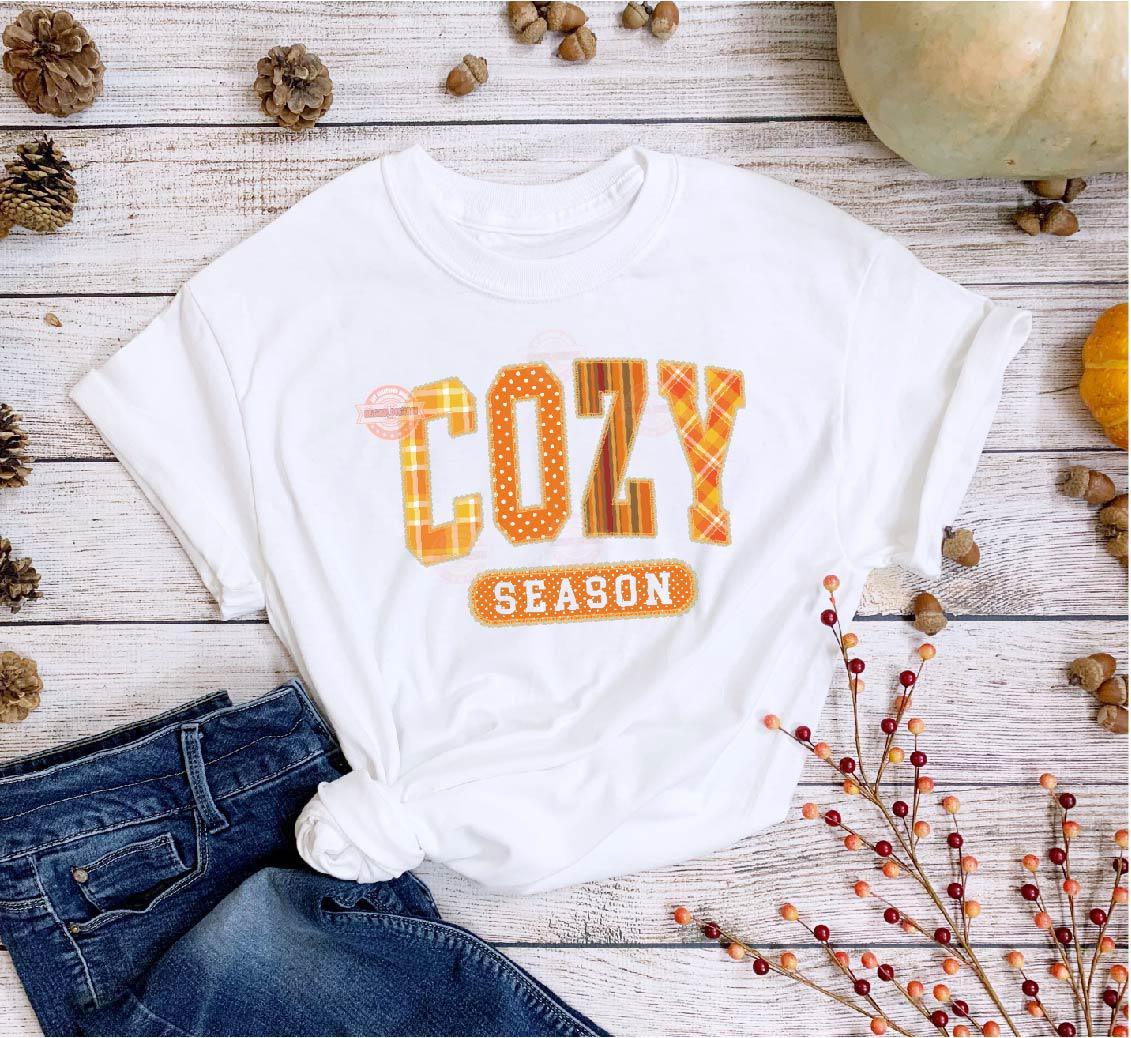 Cozy Season Lace PNG, Trendy lacy Preppy plaid Autumn Fall Vibes Png Sublimation, dtf girly Thanksgiving shirt Design Digital download